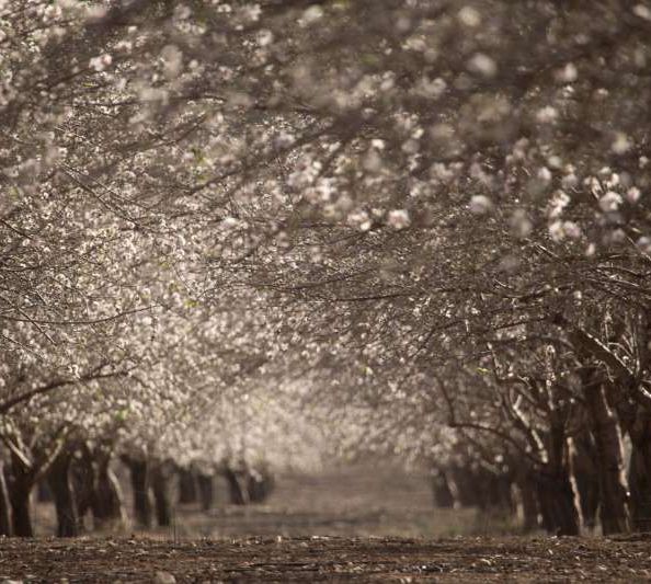 Apr2015-Inner Freedom