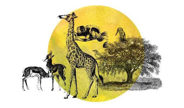 Apr2021-Unity in Diversity - Lessons from the Animal Kingdom