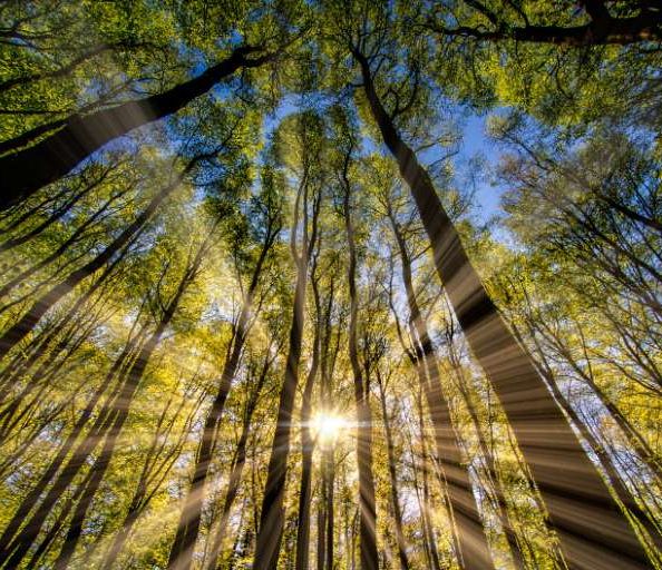 Jan2016-The Eternal Sun