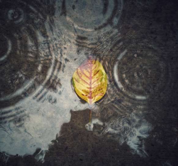 Jan2018-That which you seek