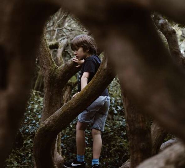 Jul2021-A Parents Search for New Education