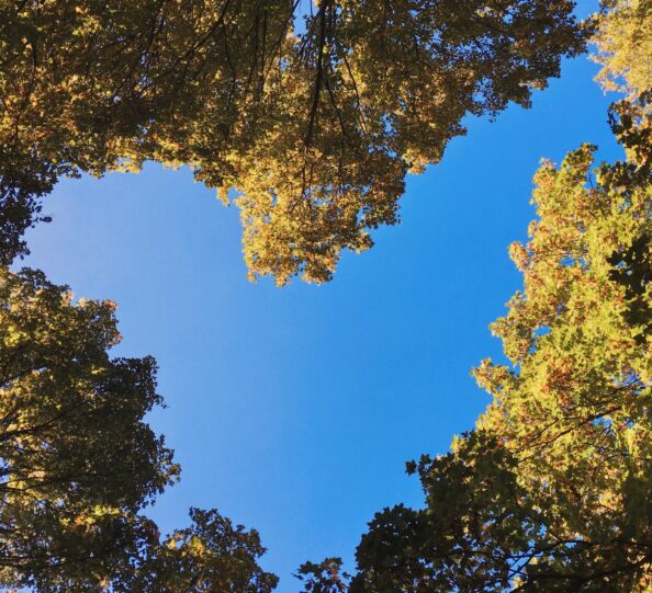 Jul2021-The Philosophy of Benevolence