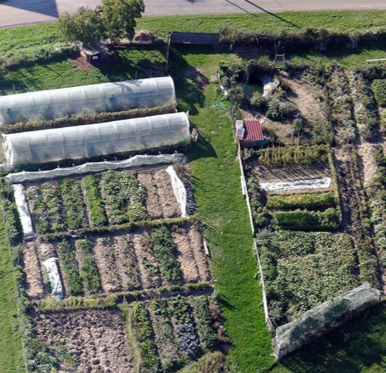 Permaculture header Cover