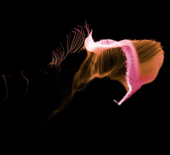 richard-horvath-O96QaASSRcg-unsplash