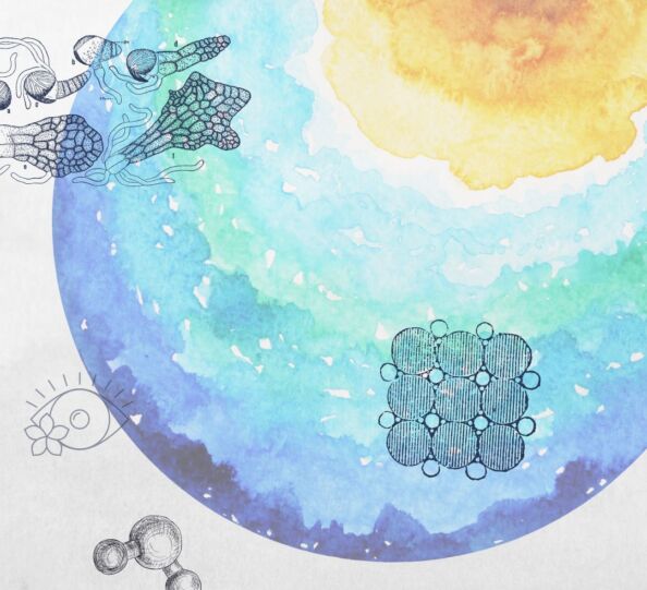 Jul 2023 - Intuition