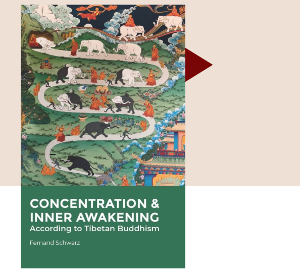 Jan2024-ConcentrationBookExcerpt-1