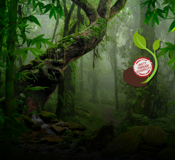 July 24_ManySeedsOneGarden (Custom)